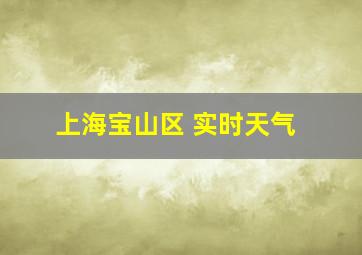 上海宝山区 实时天气